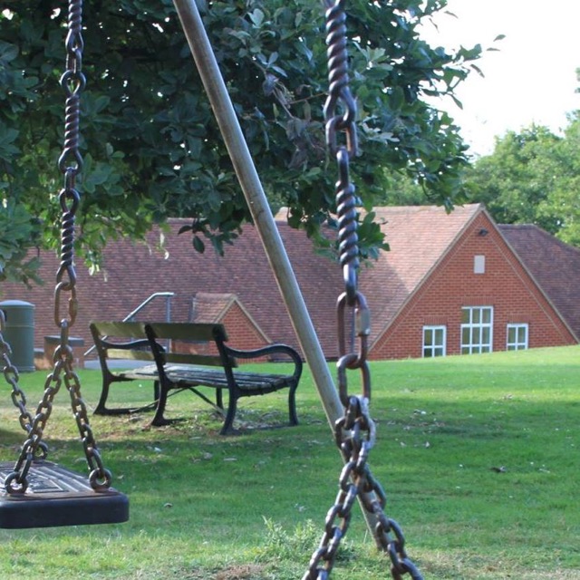 Playing Field